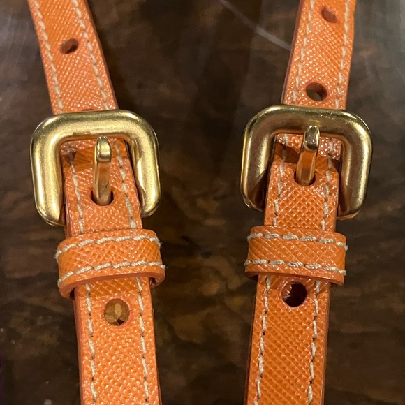 Prada Tessuto Oro Mini Crossbody in Papaya, with Auth Cards & Dust Bag, EUC - Picture 5 of 14